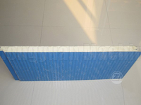 PU Sandwich Wall Panel